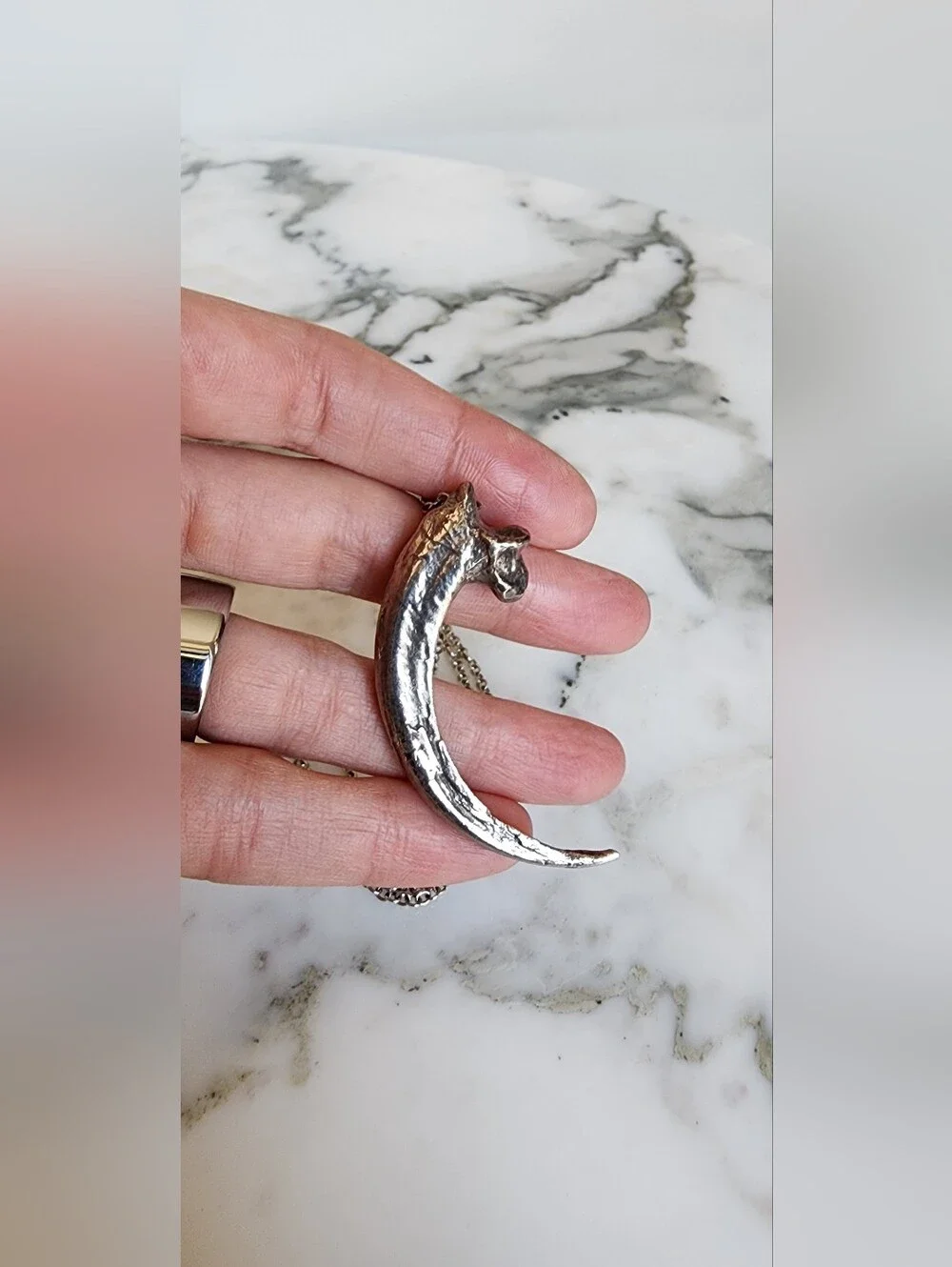 Pamela Love Rare Silver Eagle Talon Necklace - Picture 6 of 8